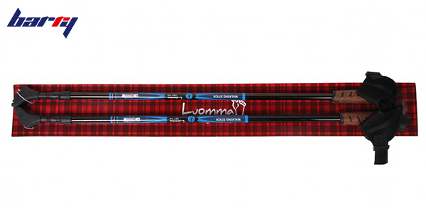 Si-02 sticks for Nordic walking Si-02 sticks for Nordic walking