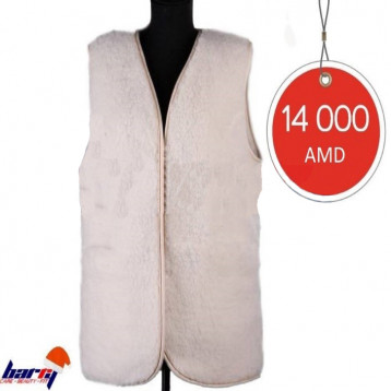 Warming vest